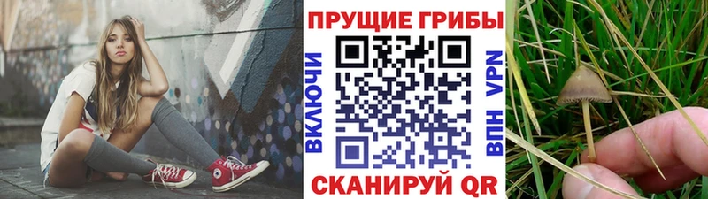 Псилоцибиновые грибы MAGIC MUSHROOMS  Никольское 